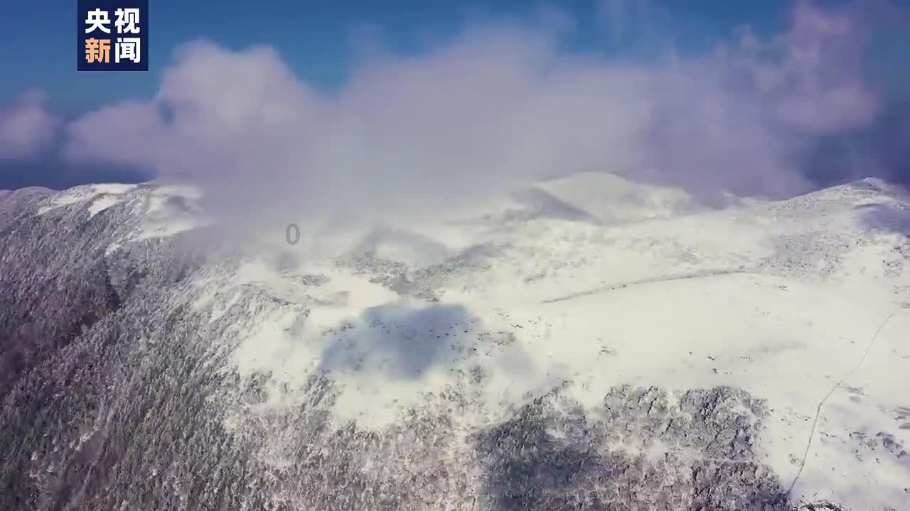 寻找遗失的车钥匙