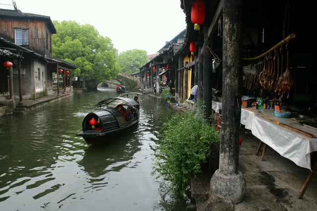 CJTER杂志静电纺丝材料热点话题：钛表面改性提高种植体的亲水性